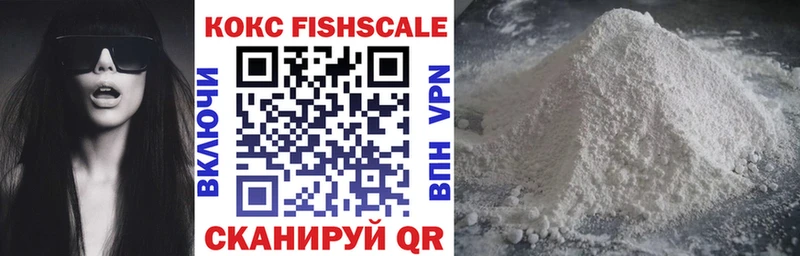 где купить наркоту  Красный Холм  Cocaine FishScale 