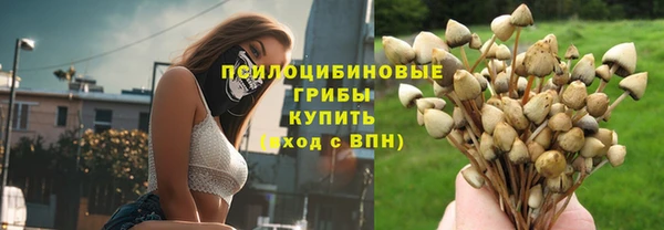 дмт Нязепетровск