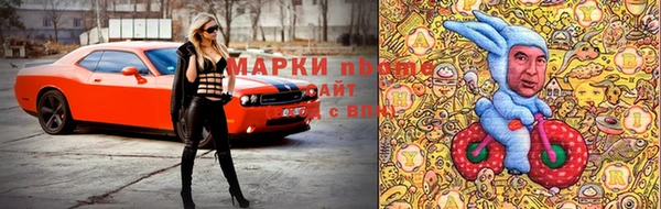 эйфоретик Новокубанск