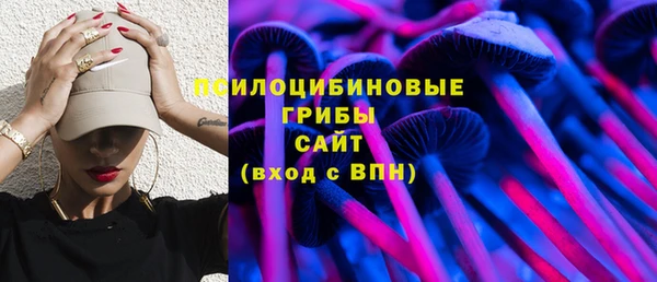 дмт Нязепетровск
