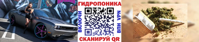 Конопля план  Красный Холм 